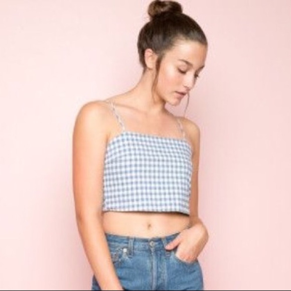 RARE Brandy Melville Cropped Gingham Tie Top